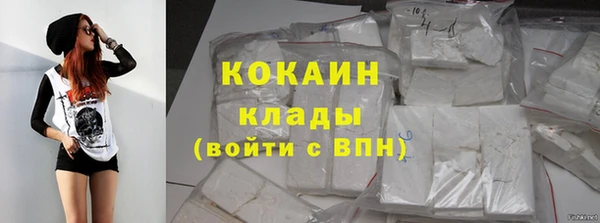 тгк Арсеньев