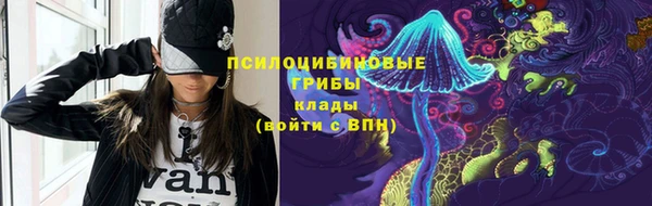 тгк Арсеньев