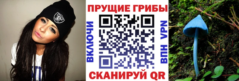 купить наркоту  Бор  Галлюциногенные грибы ЛСД 